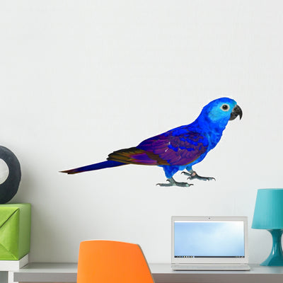 Beautiful Blue Parrot Wall Decal shown on a wall