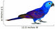 Beautiful Blue Parrot Wall Decal