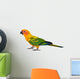 Sun Conure Parrot Bird Wall Decal