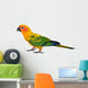 Sun Conure Parrot Bird Wall Decal