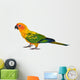 Sun Conure Parrot Bird Wall Decal