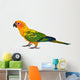 Sun Conure Parrot Bird Wall Decal