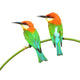 Bee Eater Birds Wall Decal