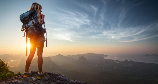 Hiker Wall Decal