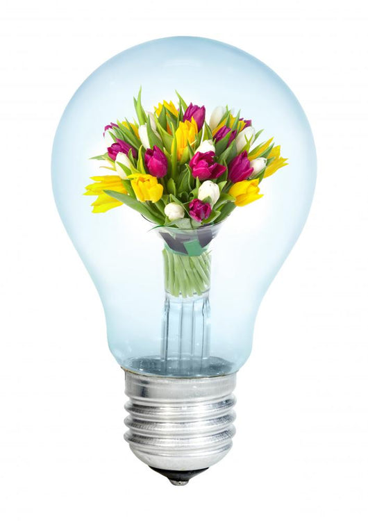 Electrobulb with Bunch Tulips Wall Decal