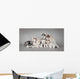 Siberian Husky Dog Puppy Wall Mural