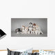 Siberian Husky Dog Puppy Wall Mural