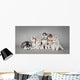 Siberian Husky Dog Puppy Wall Mural