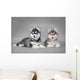 Siberian Husky dog puppies Wall Mural