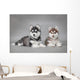 Siberian Husky dog puppies Wall Mural