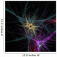 Human neurons in brain Wall Mural