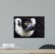 Black-and-white Ruffed Lemur Wall Decal
