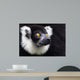 Black-and-white Ruffed Lemur Wall Decal