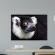 Black-and-white Ruffed Lemur Wall Decal