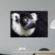 Black-and-white Ruffed Lemur Wall Decal