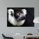 Black-and-white Ruffed Lemur Wall Decal