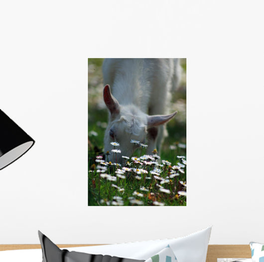 Daisies and Goat Grazing Wall Decal