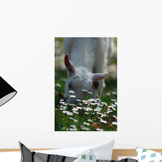 Daisies and Goat Grazing Wall Decal