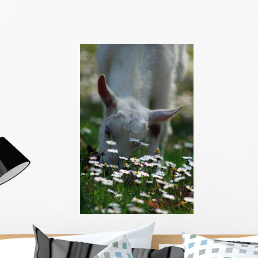 Daisies and Goat Grazing Wall Decal