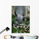 Daisies and Goat Grazing Wall Decal
