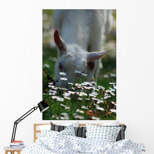 Daisies and Goat Grazing Wall Decal