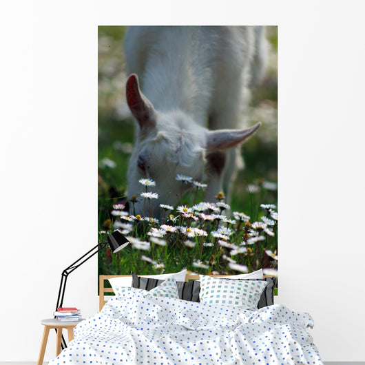 Daisies and Goat Grazing Wall Decal
