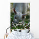 Daisies and Goat Grazing Wall Decal