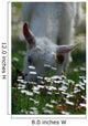 Daisies and Goat Grazing Wall Decal