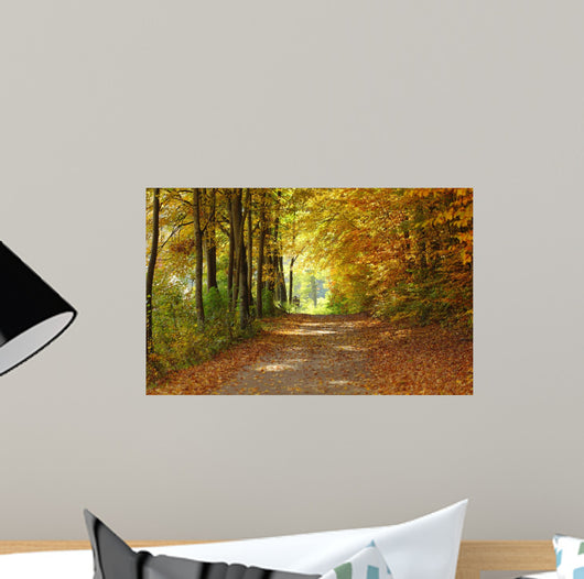 Landscape Path Autumnal Park Wall Decal