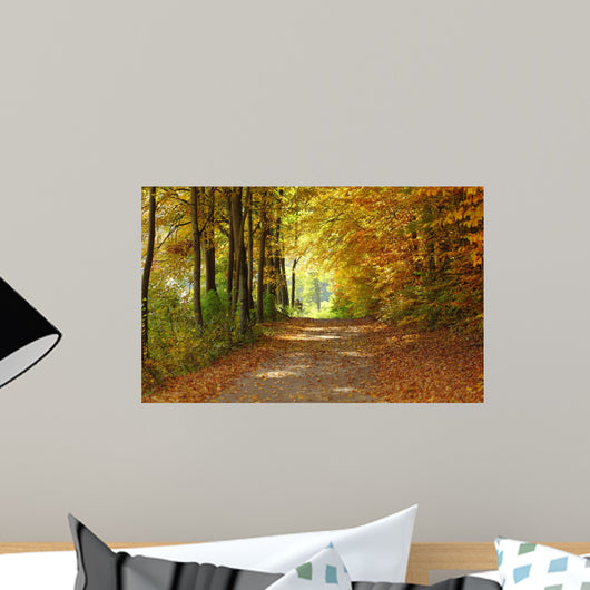 Landscape Path Autumnal Park Wall Decal