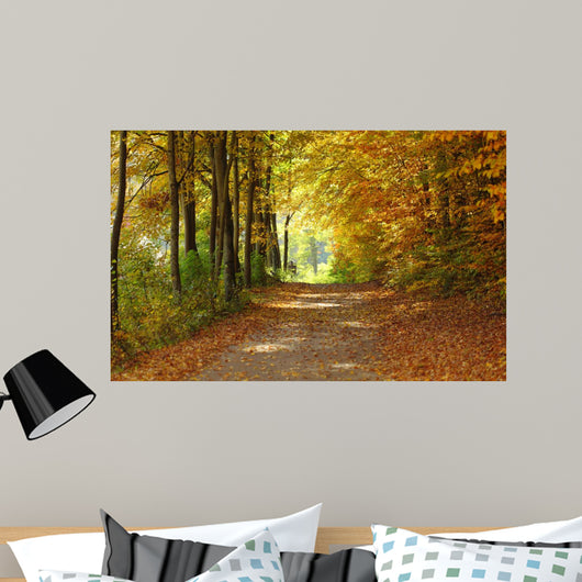 Landscape Path Autumnal Park Wall Decal