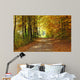 Landscape Path Autumnal Park Wall Decal