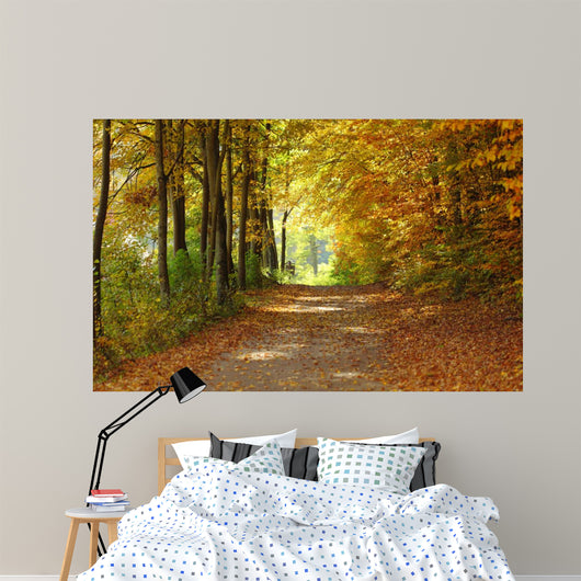 Landscape Path Autumnal Park Wall Decal