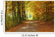 Landscape Path Autumnal Park Wall Decal