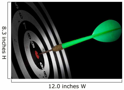 Darts Board Wall Decal