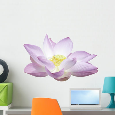 Lotus with Clipping Path Wall Decal shown on a wall