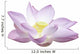 Lotus with Clipping Path Wall Decal