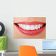 Perfect Smile Wall Decal