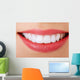 Perfect Smile Wall Decal