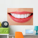 Perfect Smile Wall Decal