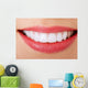 Perfect Smile Wall Decal