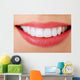 Perfect Smile Wall Decal