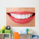 Perfect Smile Wall Decal