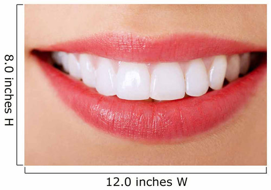 Perfect Smile Wall Decal