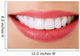 Perfect Smile Wall Decal