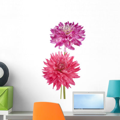 Dahlia Wall Decal shown on a wall