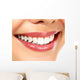 Young smiling woman, white background, copyspace Wall Decal