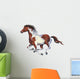 Galloping Spotted Horse Wall Decal