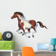 Galloping Spotted Horse Wall Decal