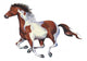 Galloping Spotted Horse Wall Decal